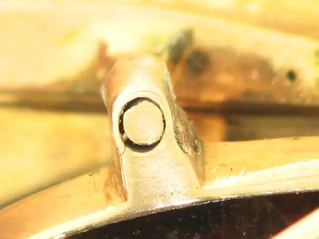 Particolare del rivetto utilizzato per il sostegno delle ali